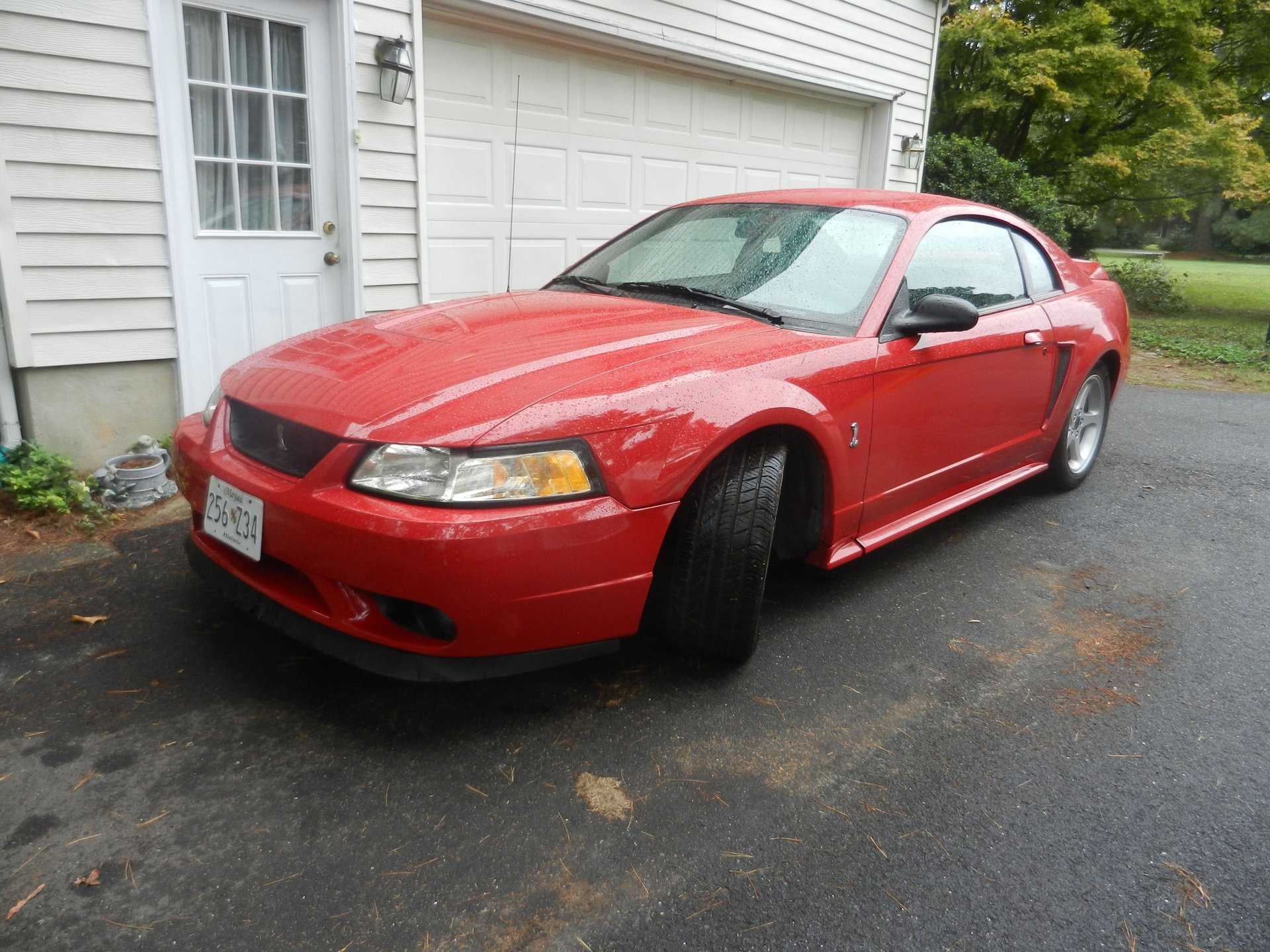 1999 ford mustang cobra