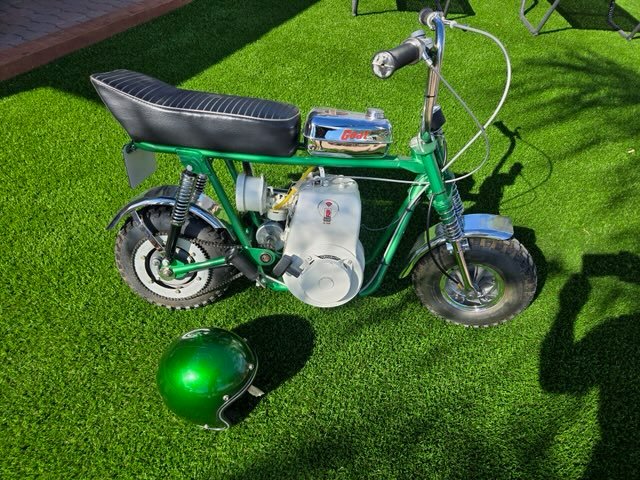 1969 rupp goat