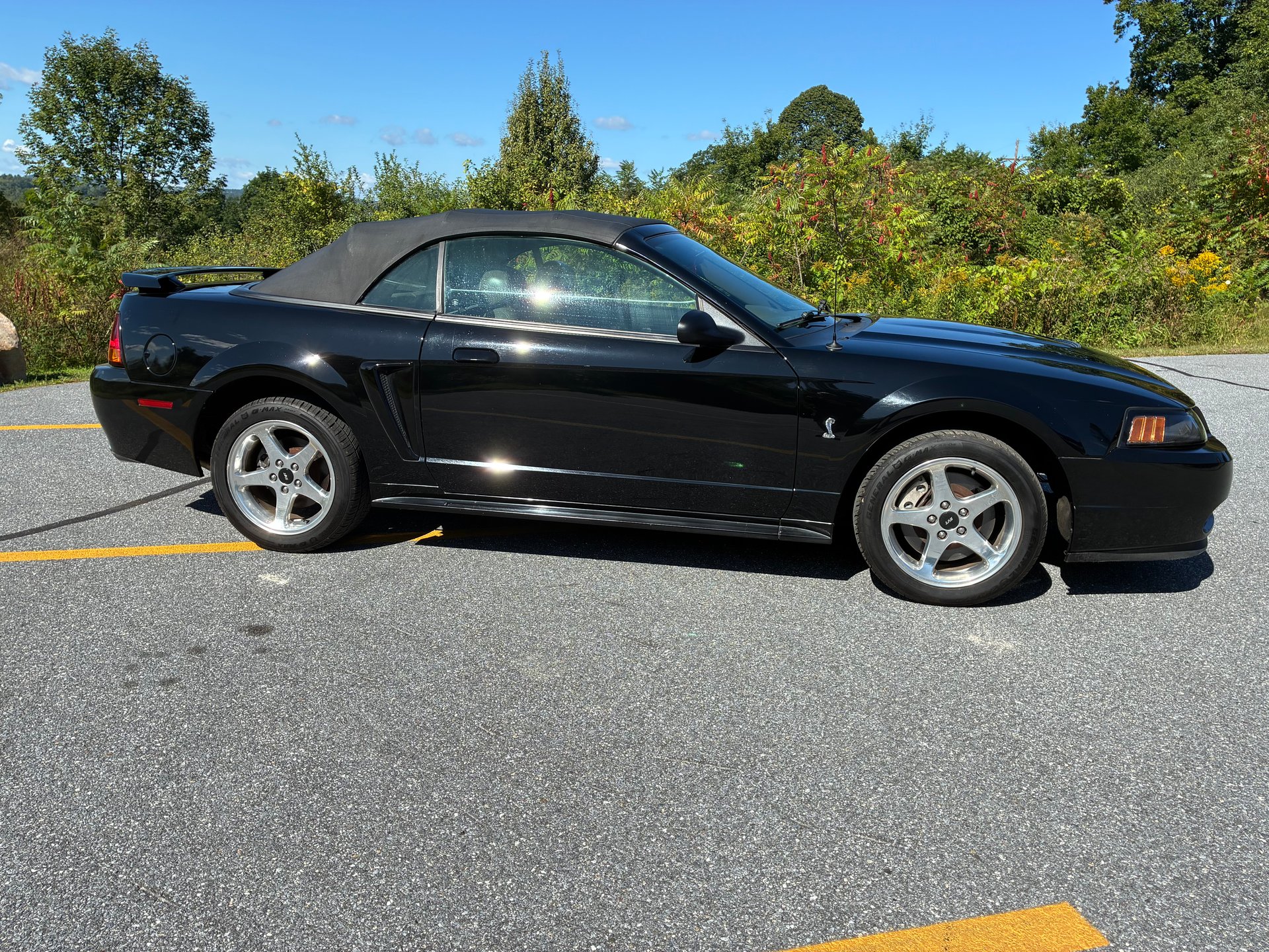 2001 ford mustang cobra convertible