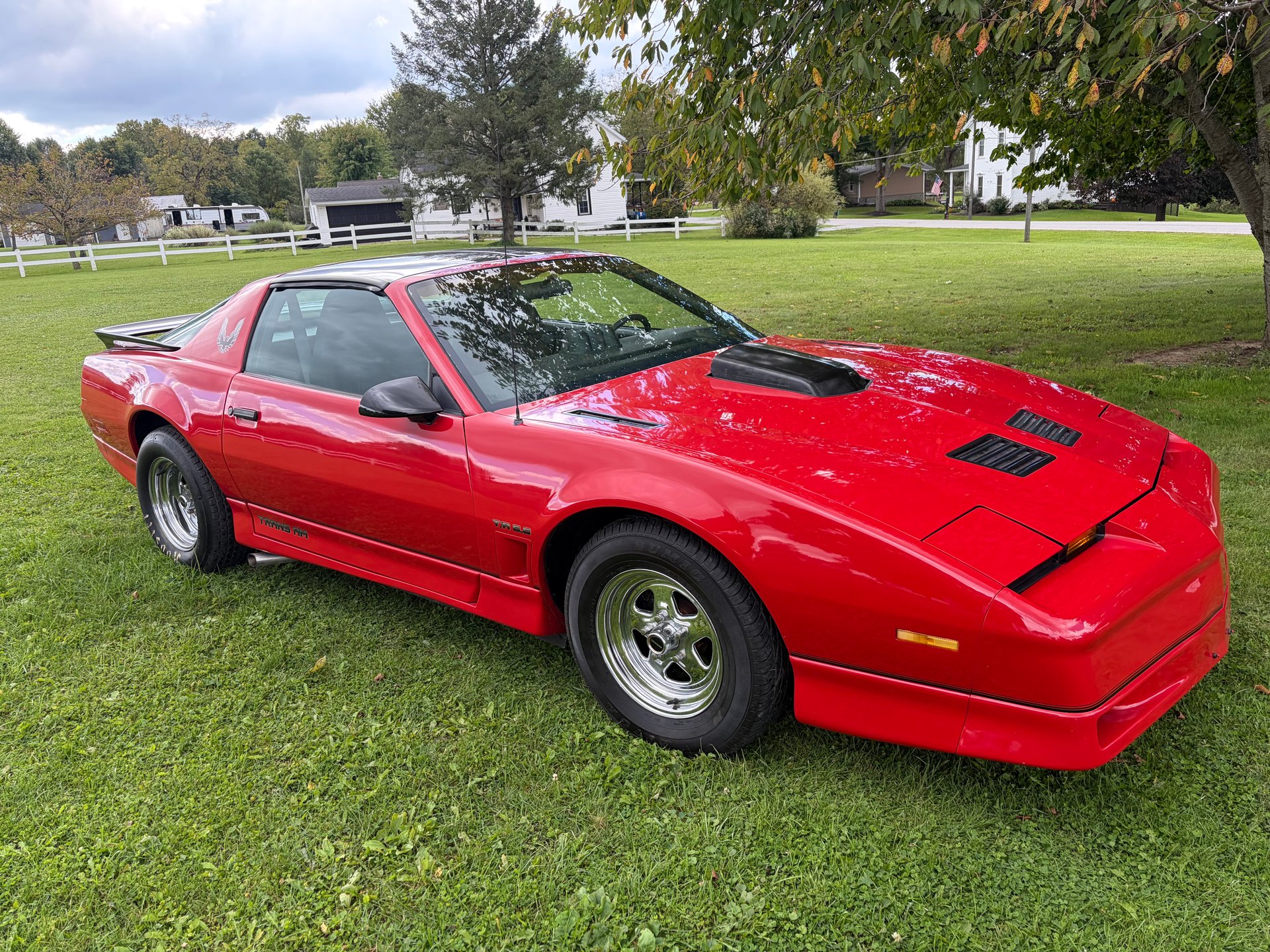 1986 pontiac trans am