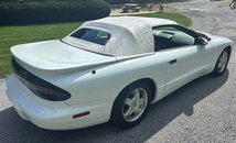 For Sale 1995 Pontiac Firebird