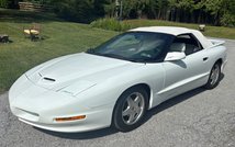 For Sale 1995 Pontiac Firebird