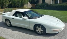 For Sale 1995 Pontiac Firebird