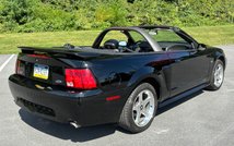 For Sale 2003 Ford Mustang