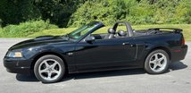 For Sale 2003 Ford Mustang
