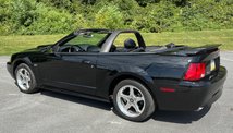 For Sale 2003 Ford Mustang