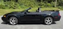 For Sale 2003 Ford Mustang