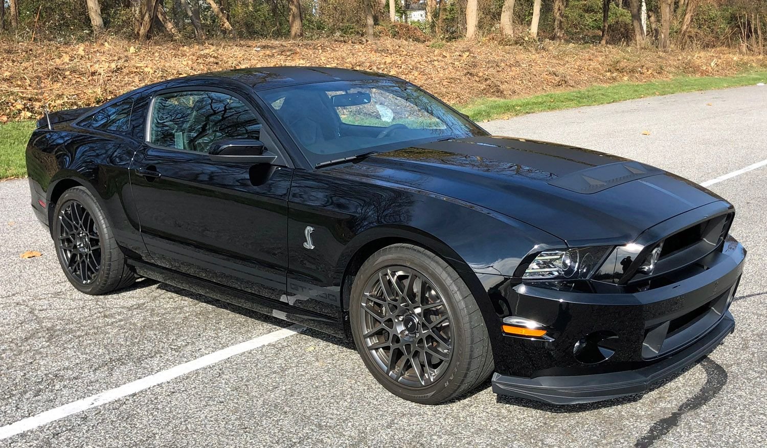 2014 ford mustang gt500