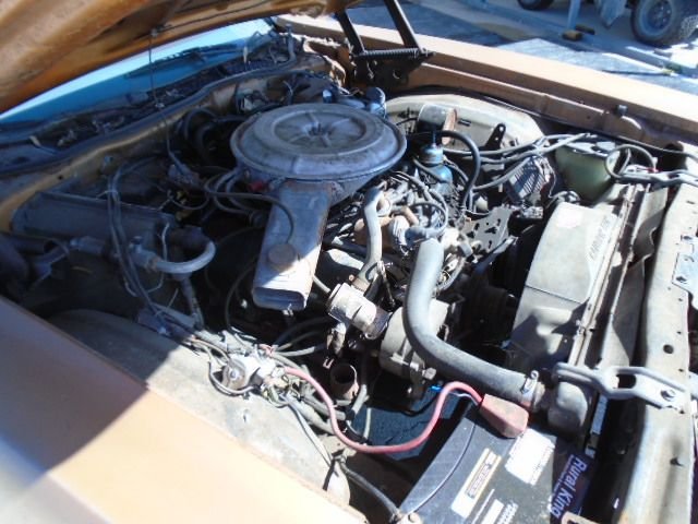 1977 Ford Thunderbird 11