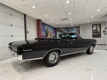 For Sale 1966 Chevrolet Chevelle SS 396 Convertible