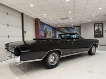 For Sale 1966 Chevrolet Chevelle SS 396 Convertible