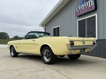 For Sale 1966 Ford Mustang CV