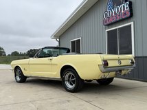 For Sale 1966 Ford Mustang CV