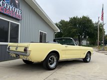 For Sale 1966 Ford Mustang CV