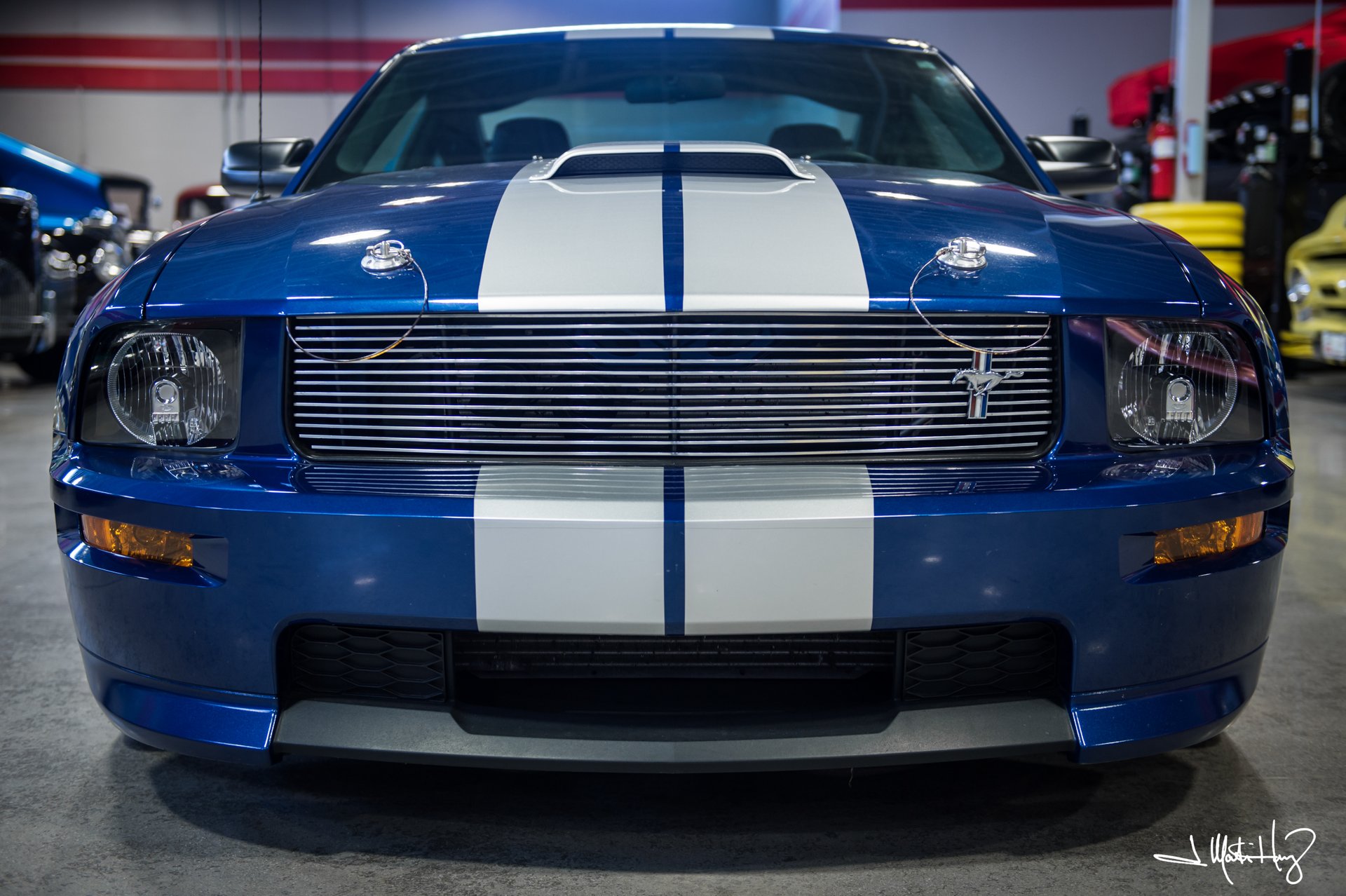 2008 shelby gt