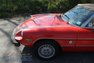 For Sale 1978 Alfa Romeo Spider