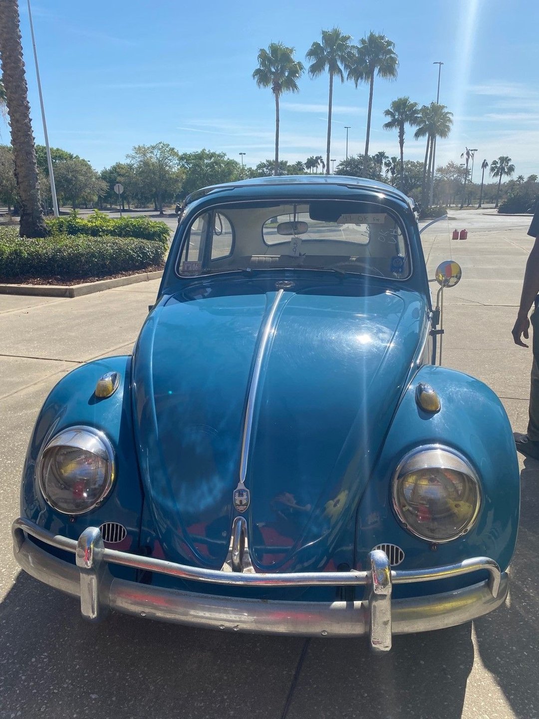 1959 volkswagen beetle