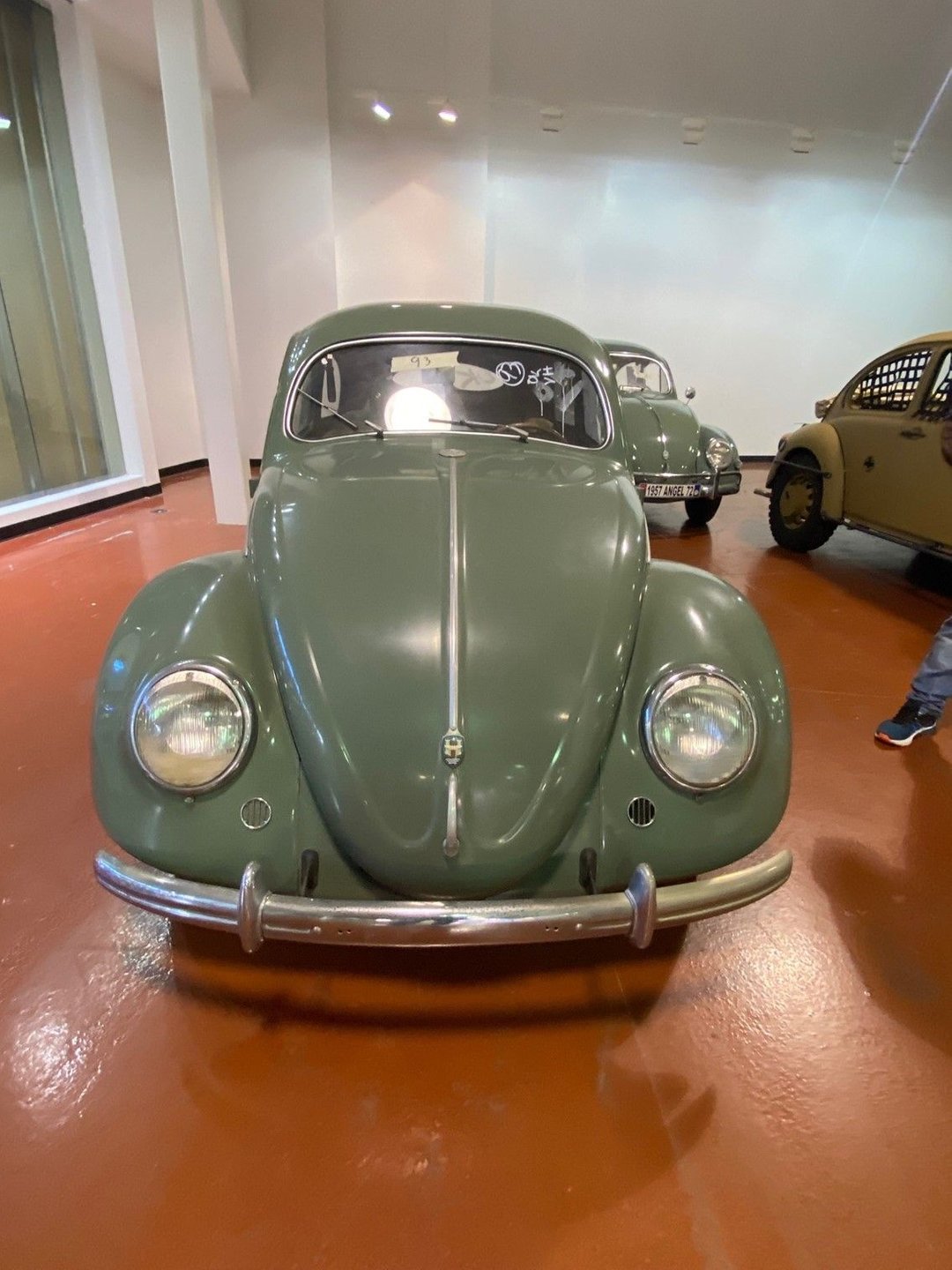 1950 volkswagen beetle