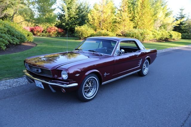 1966 Mustang 
