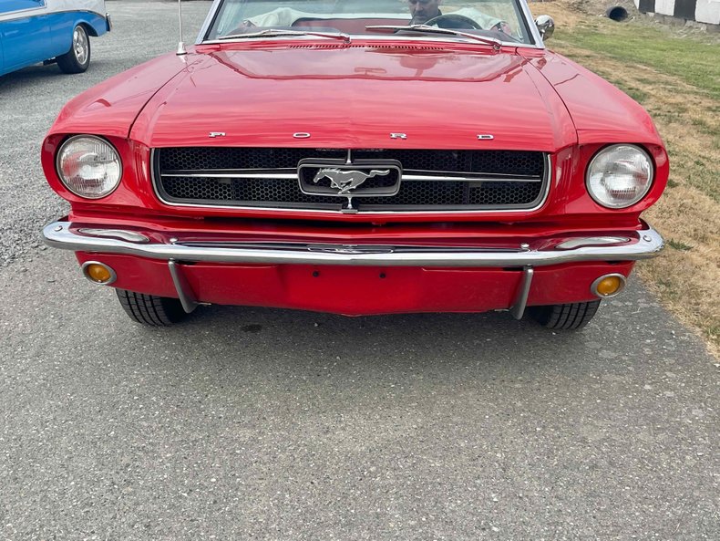 1964 Ford Mustang 159