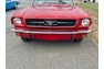 1964 1/2 Ford Mustang