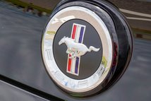 For Sale 2014 Ford Mustang
