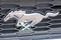 For Sale 2014 Ford Mustang