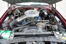 For Sale 1979 Ford Thunderbird