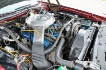 For Sale 1979 Ford Thunderbird