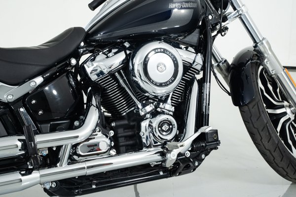 2019 Harley-Davidson Softail