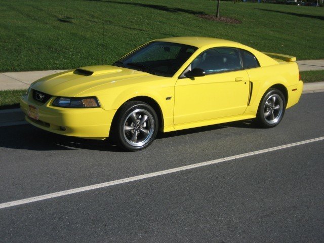 2003 Ford Mustang | 2003 Ford Mustang for sale to purchase or buy ...