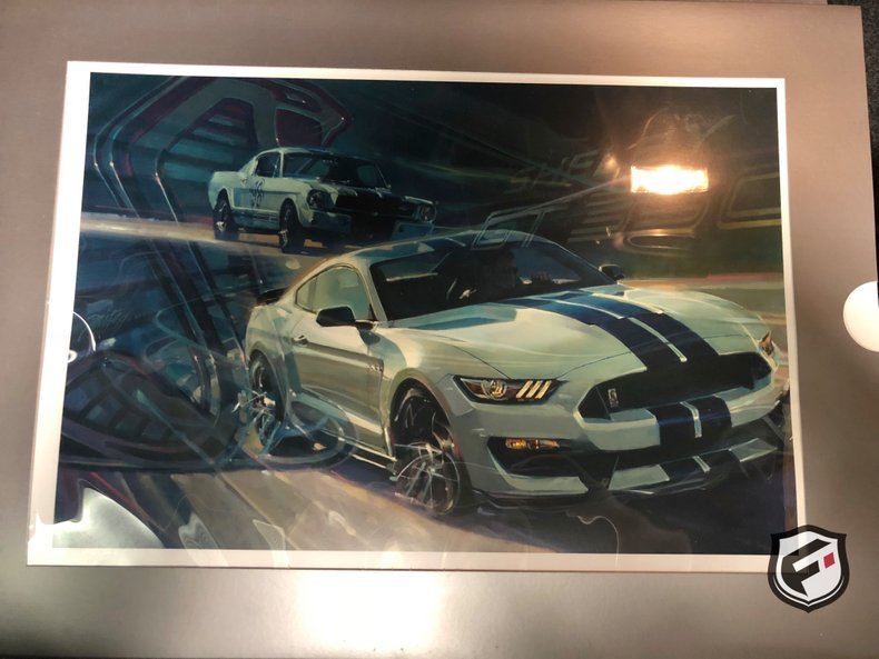2016 Ford Shelby