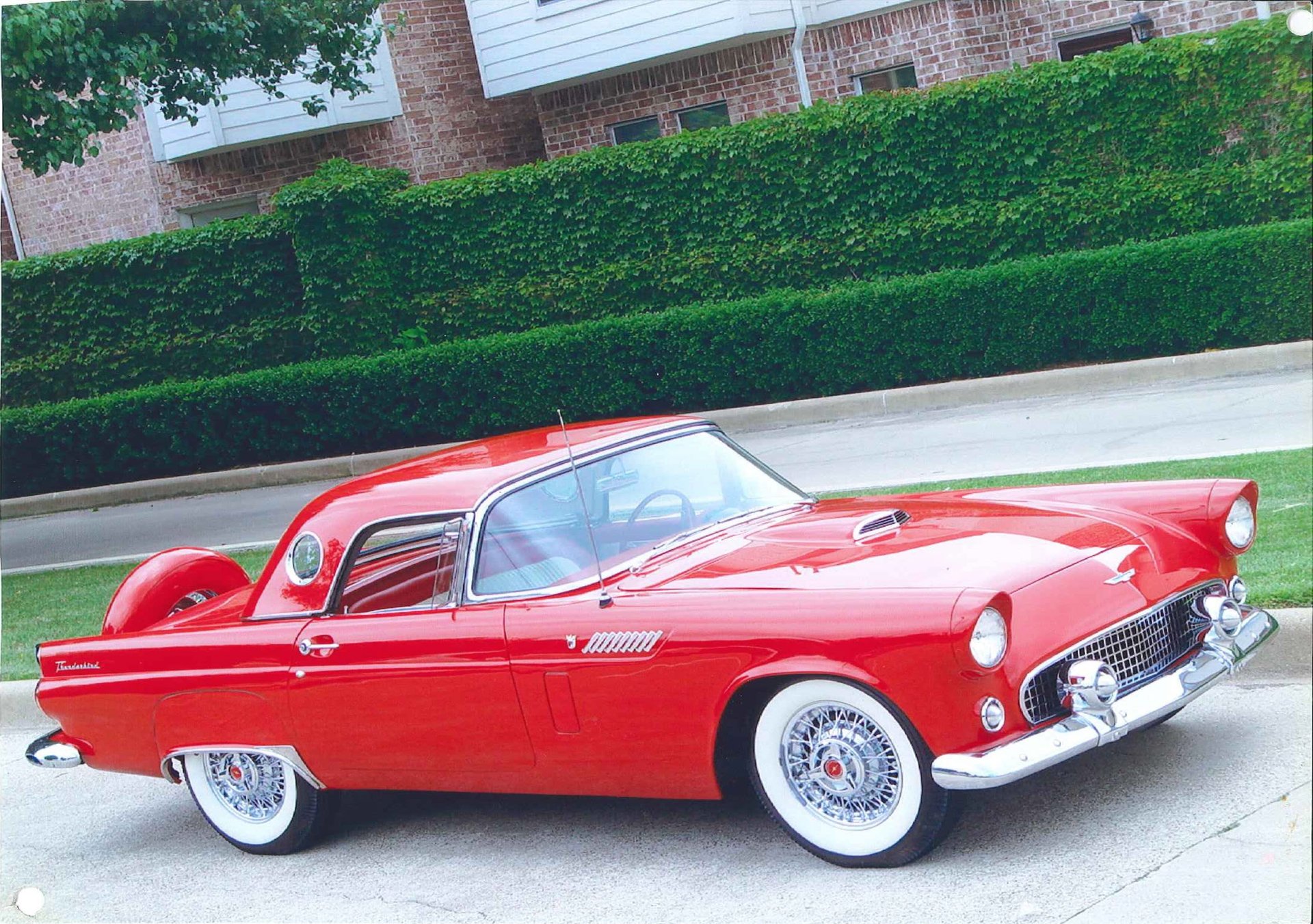 1956 ford thunderbird sold by amos minter