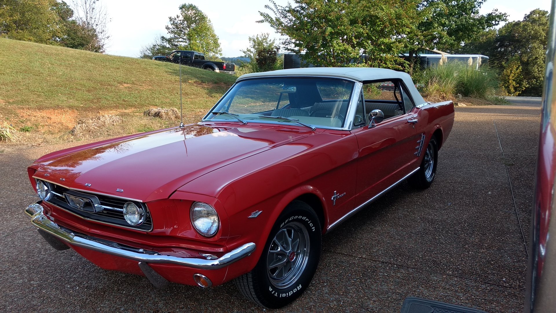 1966 ford mustang