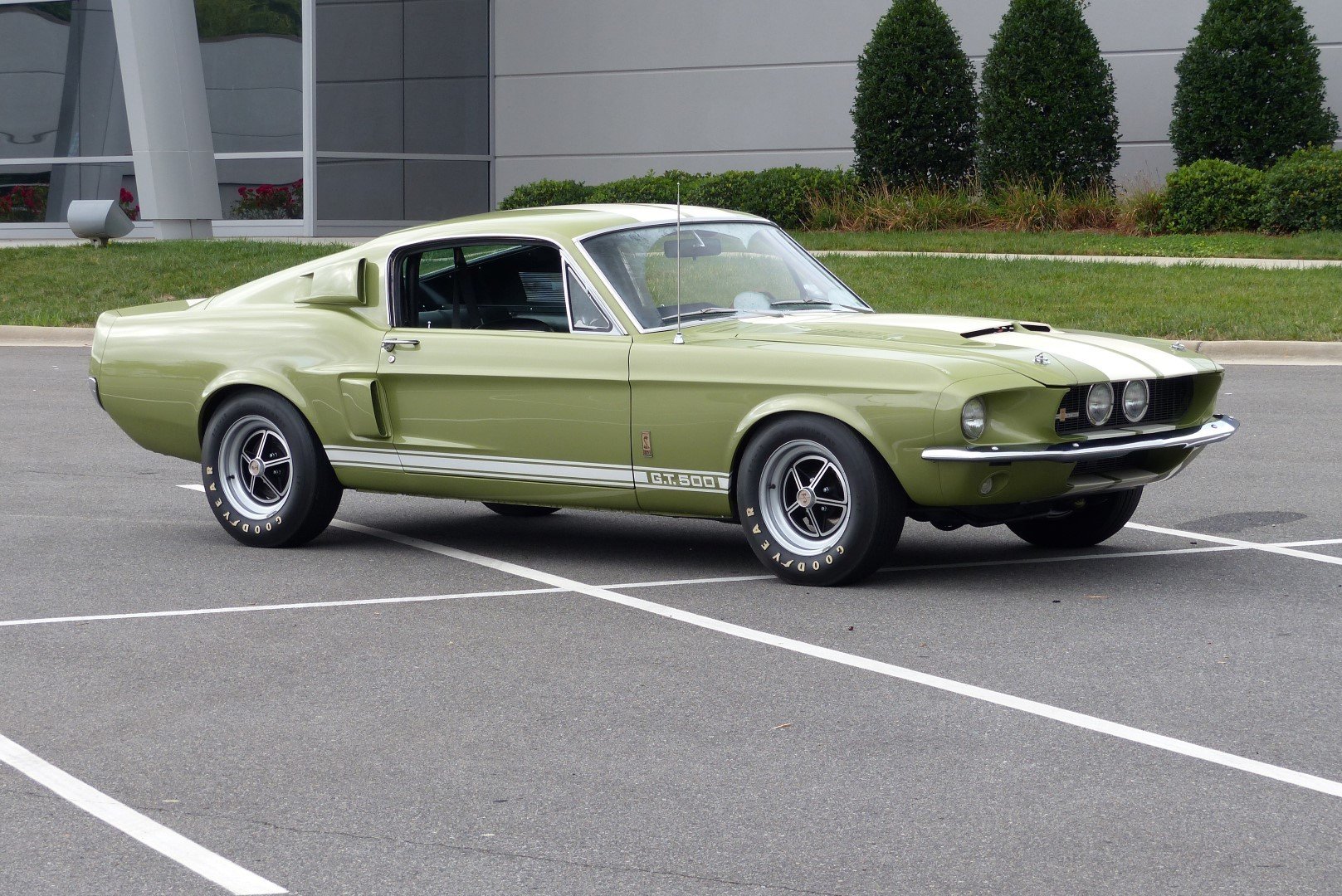 1967 shelby gt500
