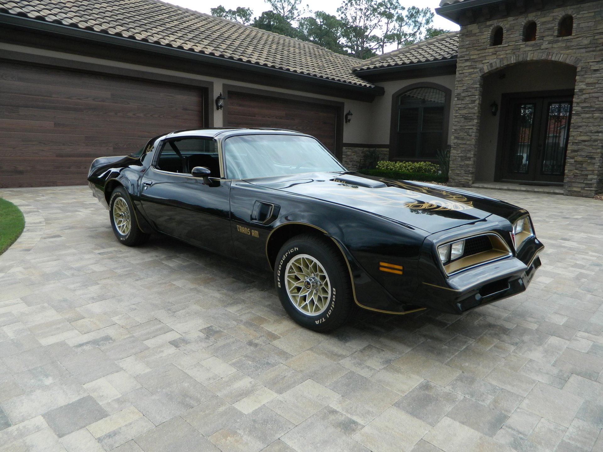 1977 pontiac trans am special edition