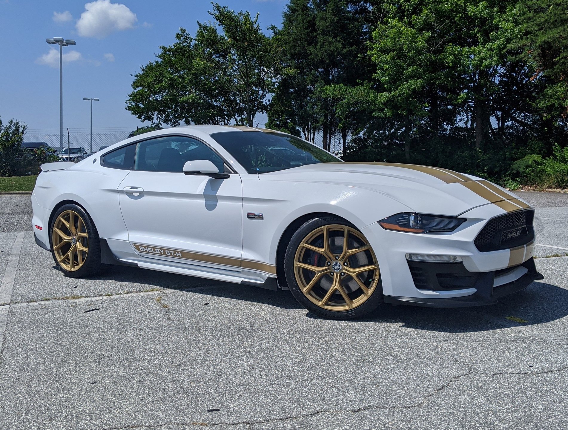 2019 ford mustang gt heritage edition