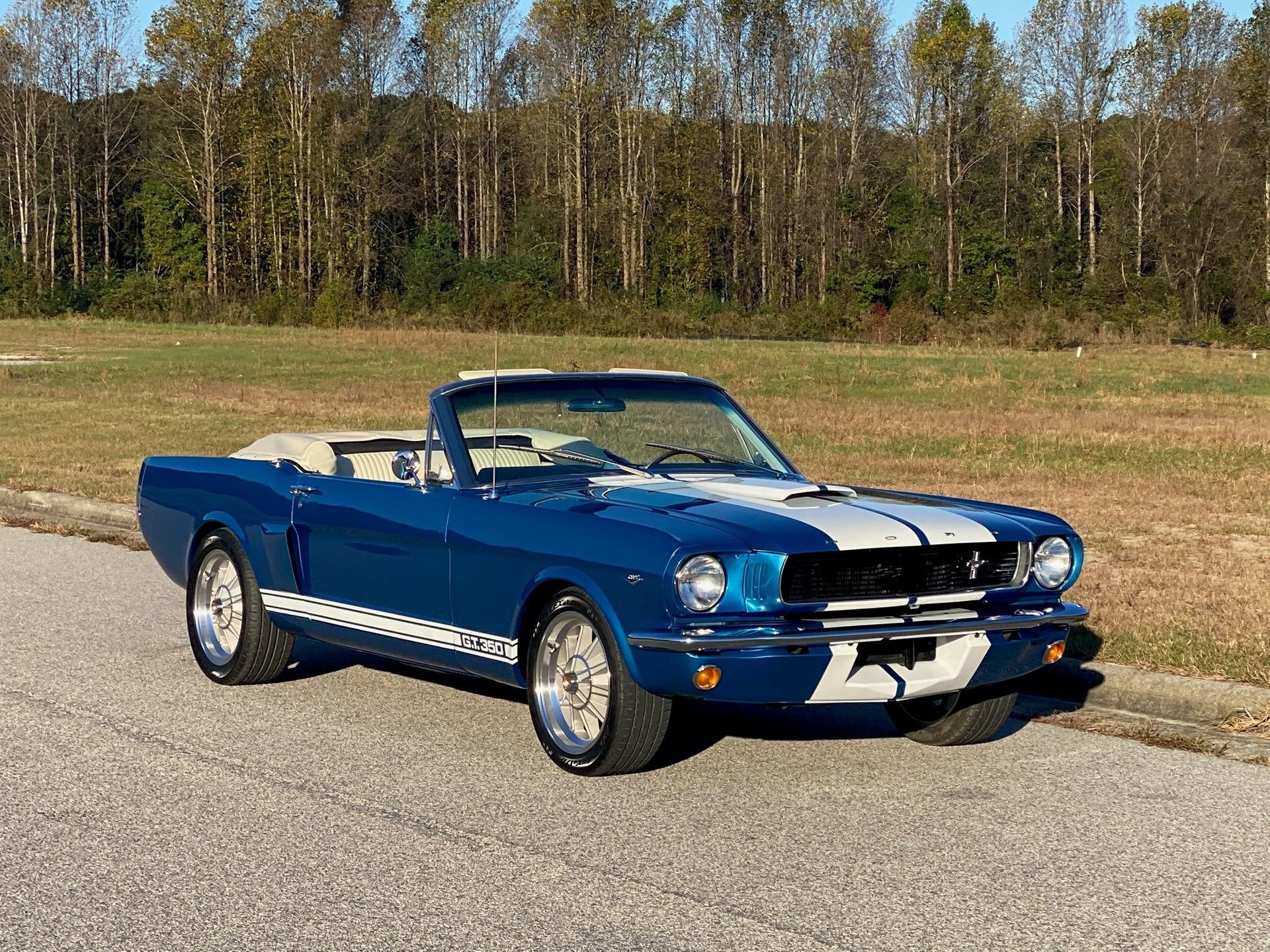 1966 ford mustang gt350 shelby tribute