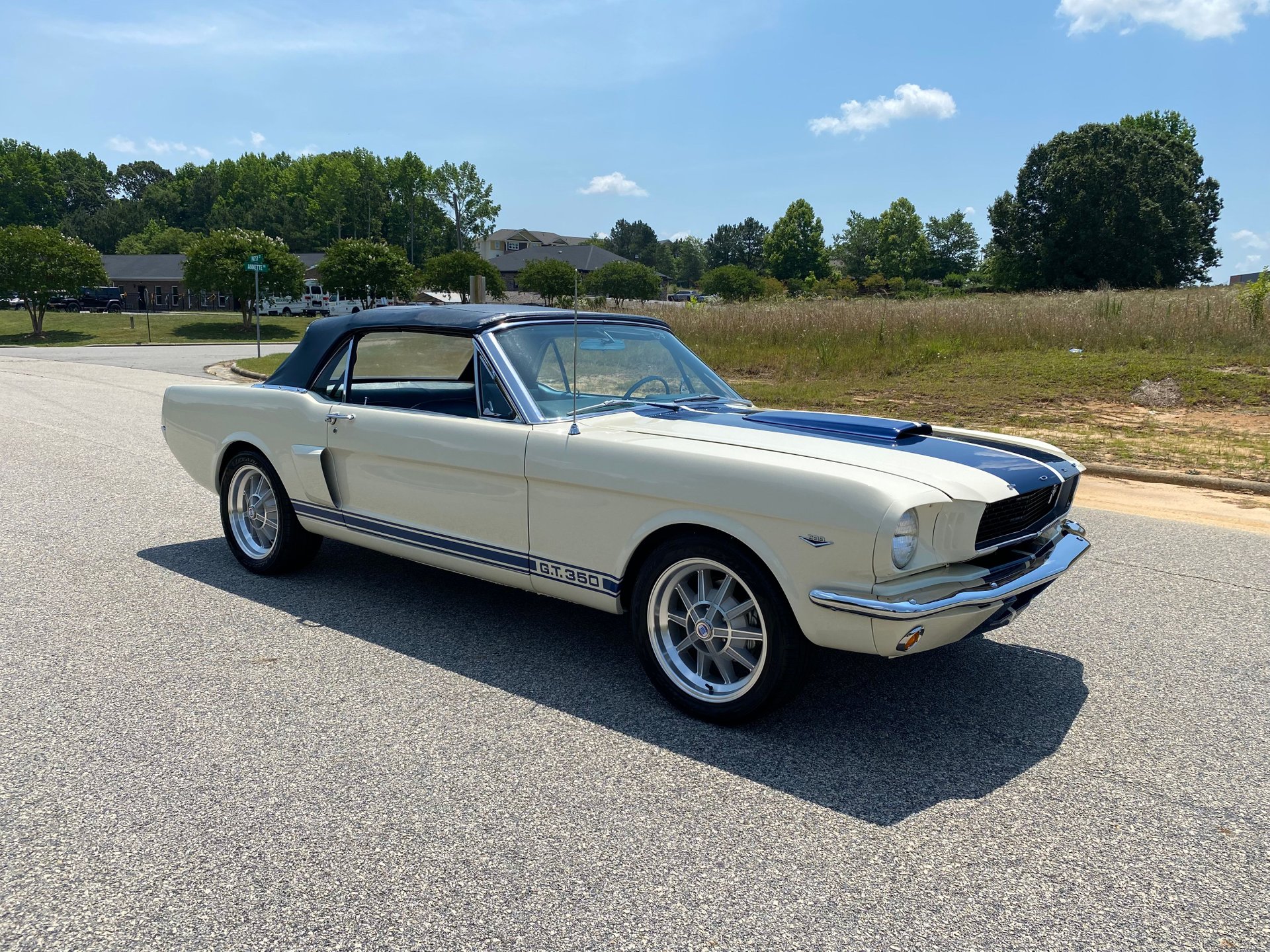 1966 ford mustang gt350 tribute