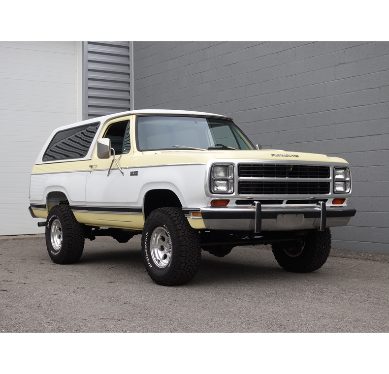 1979 Plymouth Trail Duster 