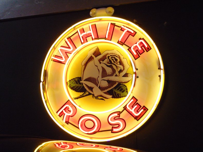 0 White Rose Neon 