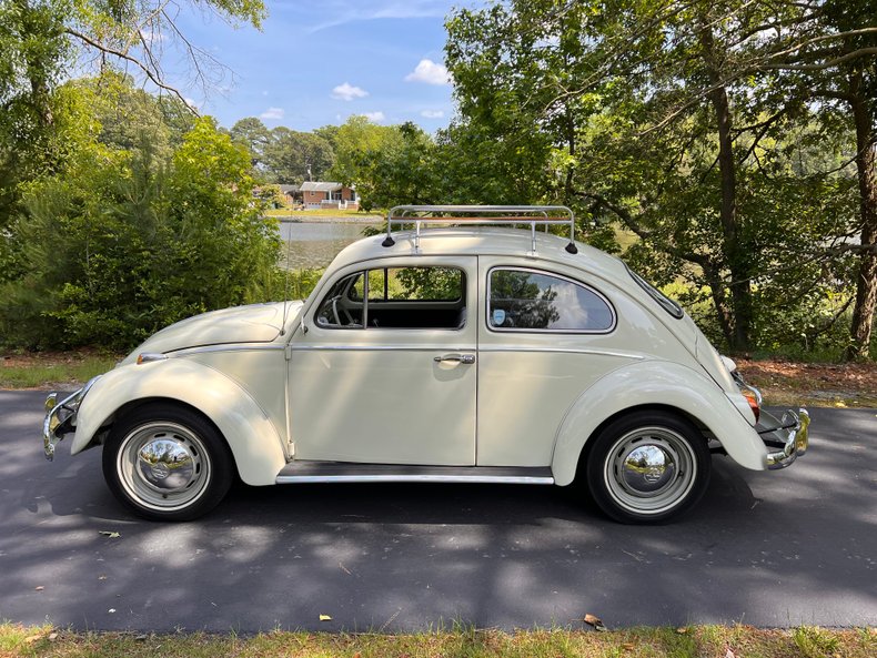 1969 Volkswagen Bug 