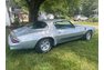 1981 Chevrolet Camaro