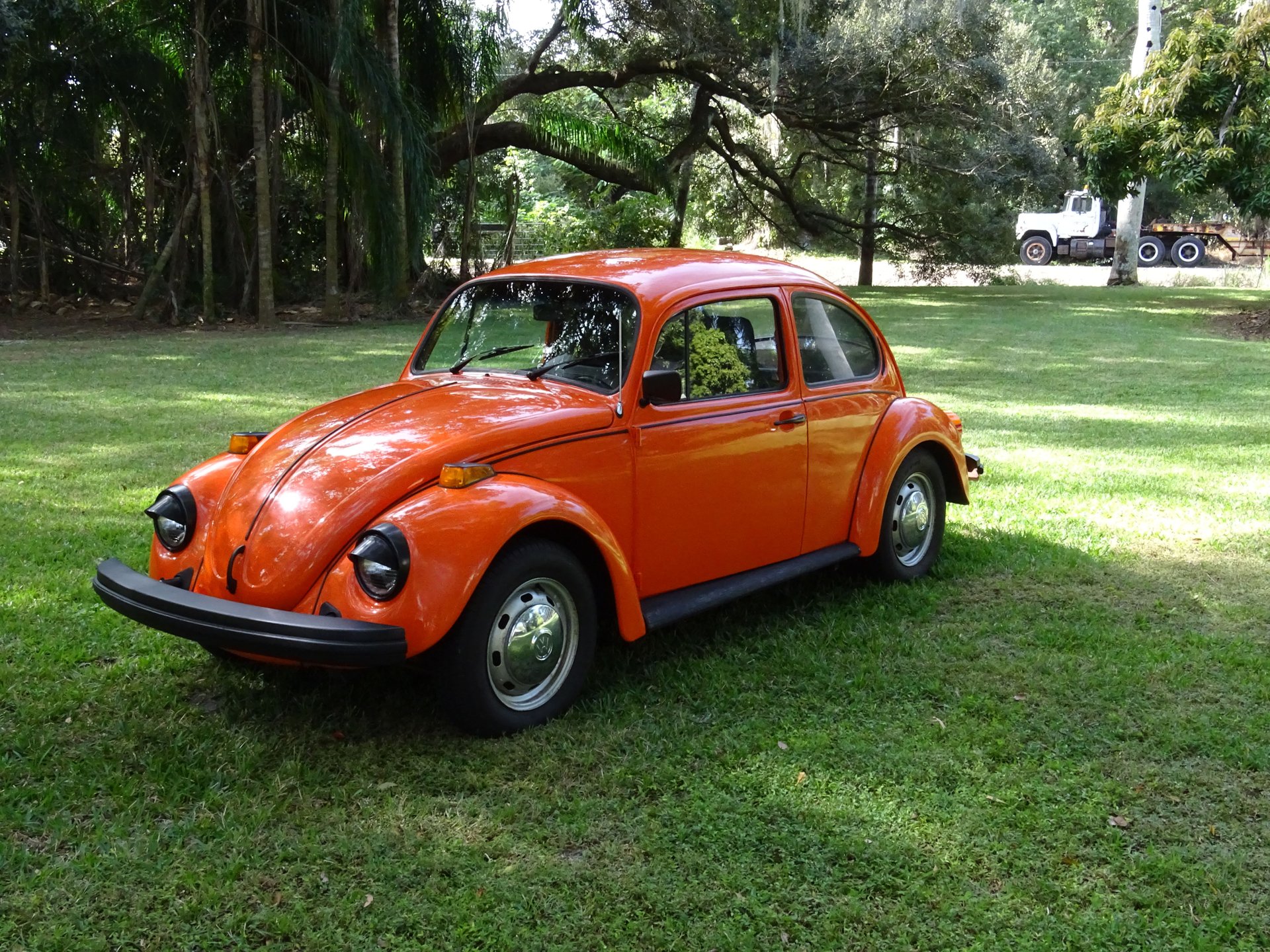 1974 volkswagen beetle
