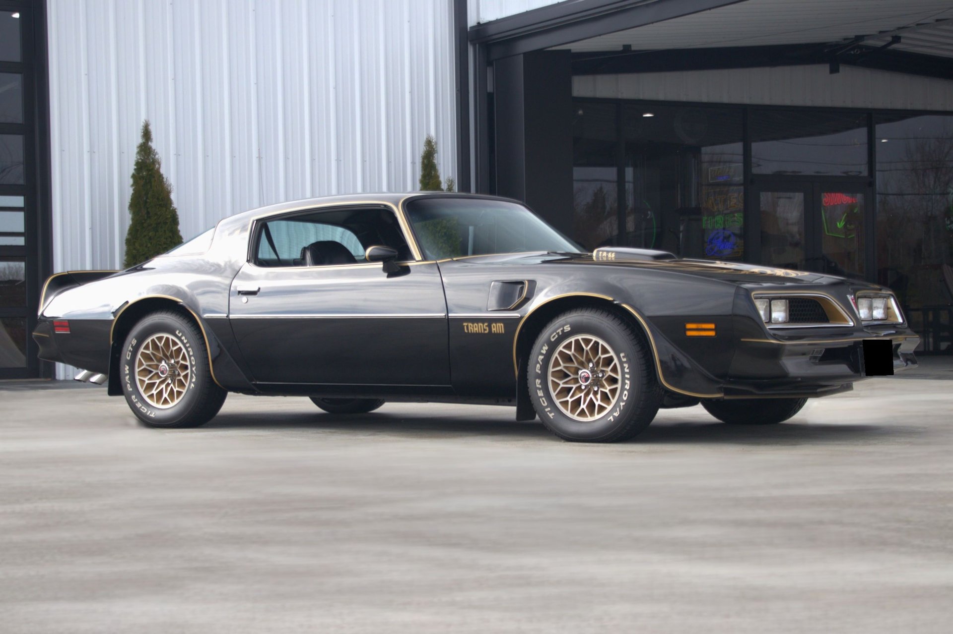 1977 pontiac firebird transam se