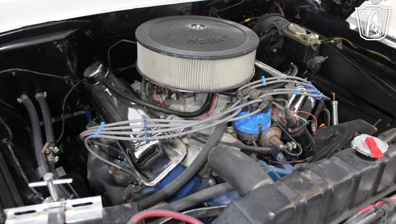 1965 Ford F100 123