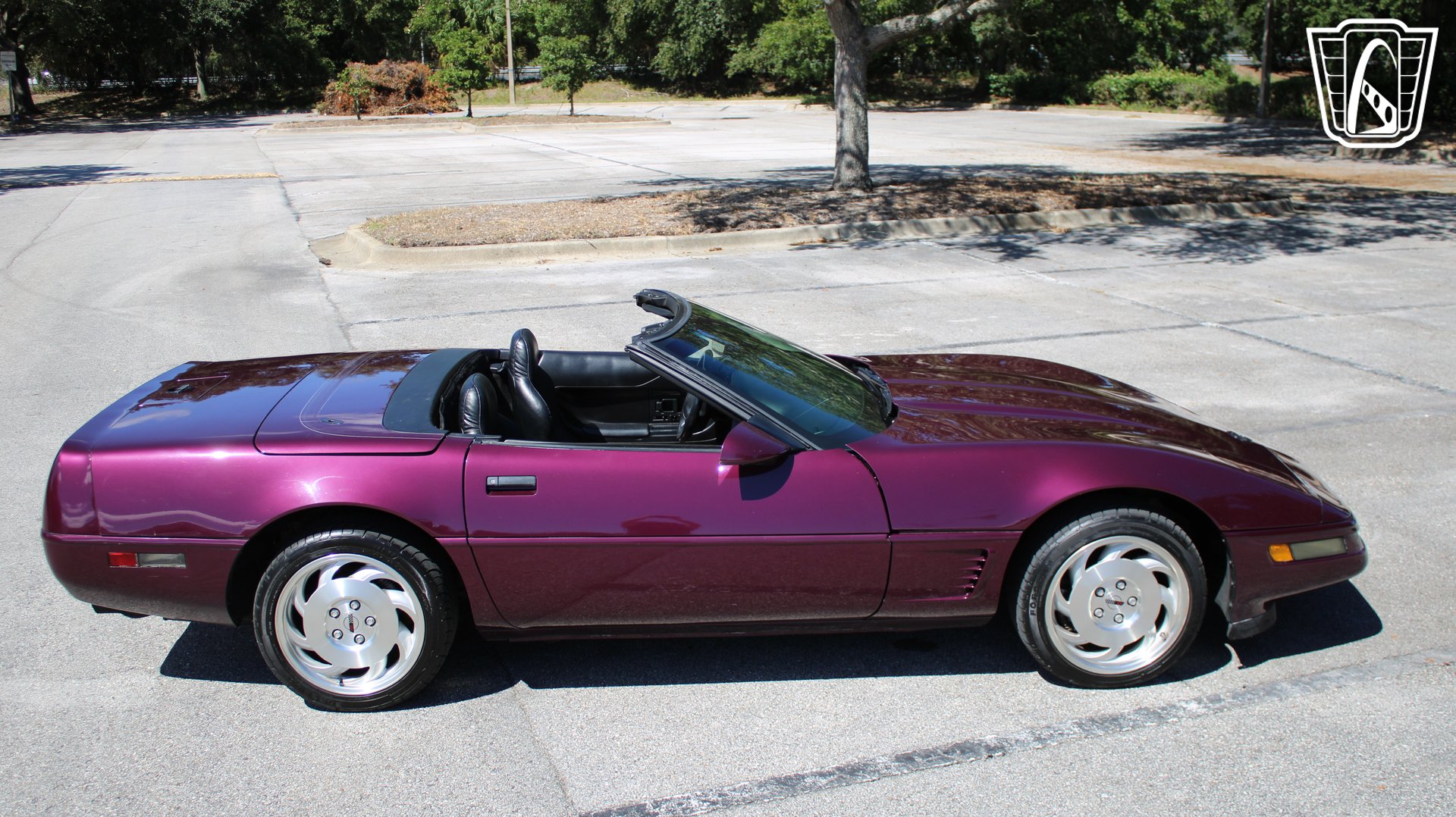 1996 Corvette picture #20
