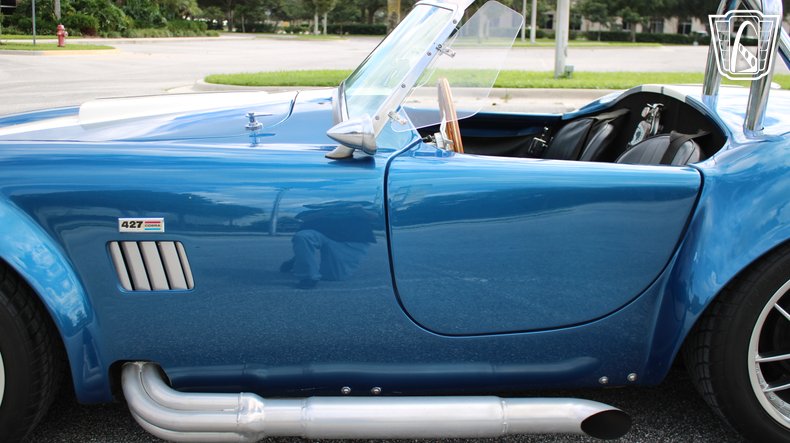 1965 Ford Cobra 30