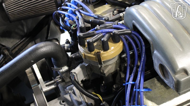 1965 Ford Cobra 94