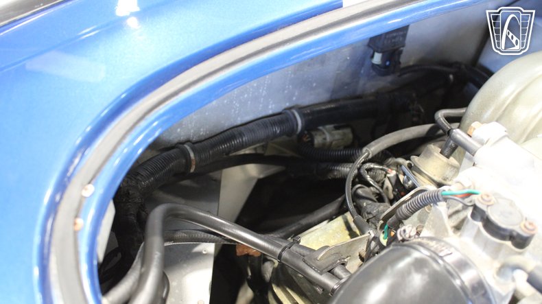 1965 Ford Cobra 101
